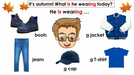 Clothes. Module 8 - презентация онлайн