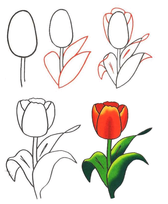 0300qe0o-61d6-700x847.png