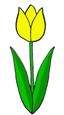 0300qely-2875-222x397.png