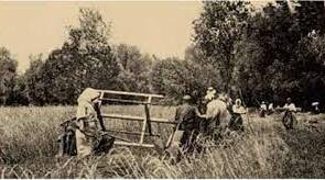 "Наддніпрянська в 1907-1914 рр".