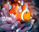 0300qh9f-8aff-166x135.png