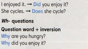 Word order in questions