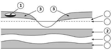 0300qldd-9616-359x161.png