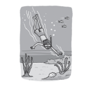 0300qnso-0cf7-184x178.png