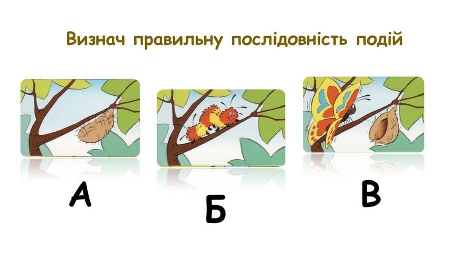 0300qom8-43a5-940x529.jpg