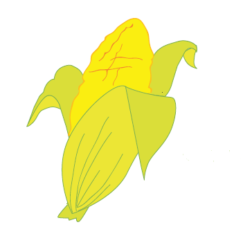 0300qp5q-09f2-351x328.png