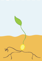 0300qp6d-cc59-138x202.png