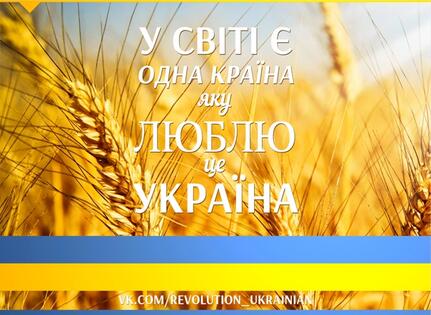 0300qq0z-0173-431x315.jpg