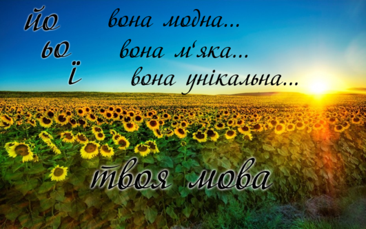 0300qqeo-6ae2-531x332.png