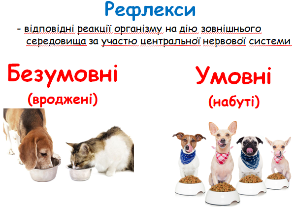0300qrsa-6349-601x420.png