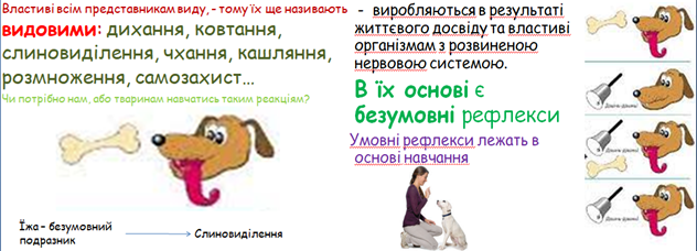 0300qrv4-7f8d-632x228.png