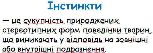 0300qrwy-16f0-534x186.png
