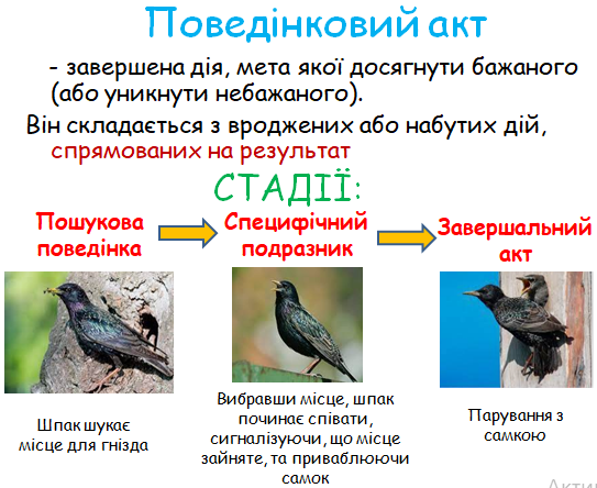0300qryg-6a80-543x444.png