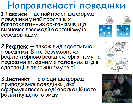 0300qryt-65bc-549x431.png
