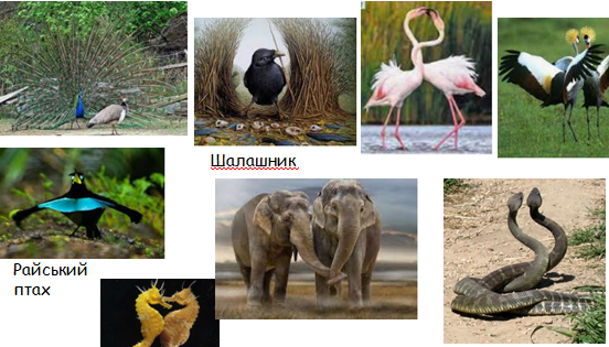 0300qs15-768b-552x315.png