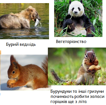 0300qs3b-e390-372x369.png