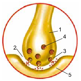0300quwa-9489-263x263.png