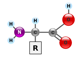 0300qx9u-0860-266x189.png