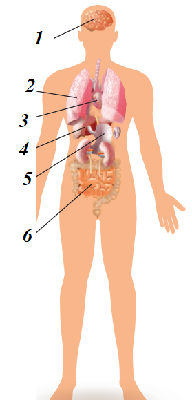 0300qxdh-6a14-279x579.png