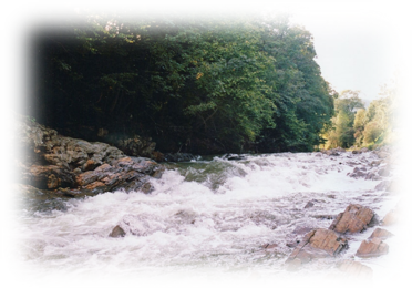 0300r3px-86f7-372x260.png