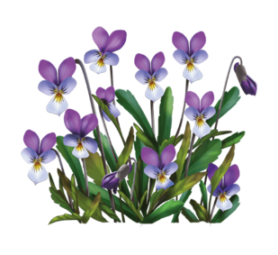 0300r4oe-e6e2-309x283.png