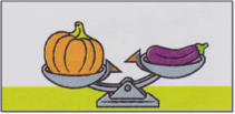 0300raia-7815-211x103.png