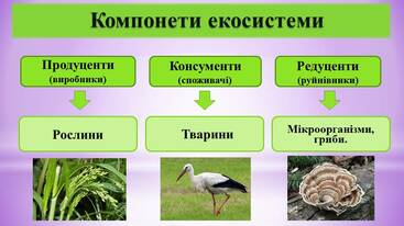 0300rgvy-a65f-367x206.jpg