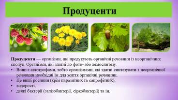 0300rgvz-9737-368x207.jpg