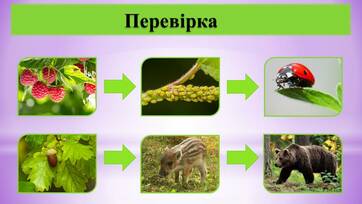 0300rgwj-0616-376x212.jpg