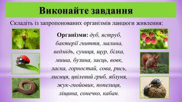 0300rgwk-e544-365x206.jpg