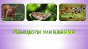Презентація з біології "Ланцюги живлення"