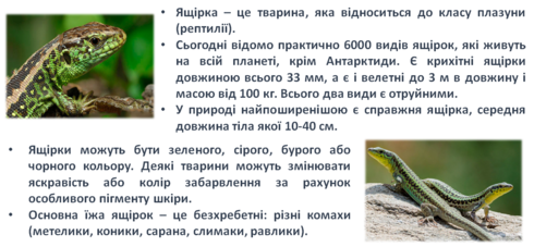 0300rt5j-c13f-490x227.png