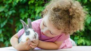 My pets