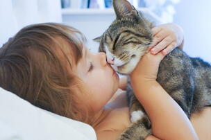8 Amazing Little-Did-You-Know Facts about Cats - Goodnet