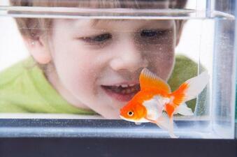 The 5 worst (and 3 best!) pets for kids that aren't cats or dogs | BabyCenter