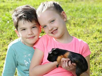 Guinea Pig Appreciation Day is on Monday July 16 | The Courier Mail
