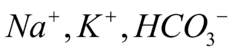 0300rwb9-05d2-232x54.png