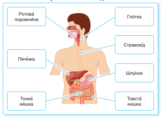0300rzcz-1c8f-536x390.png