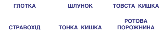 0300rzdl-b9fd-528x110.png