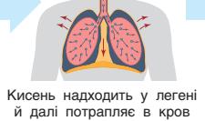 0300rzh9-fb4d-225x133.png