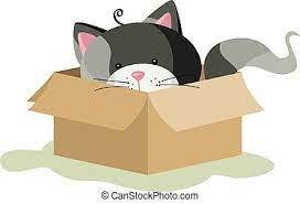 Katze im karton. Nette cartoon-katze in karton. komische katze sitzt in der kiste, isolierte vektor-clip-art illustration. | CanStock
