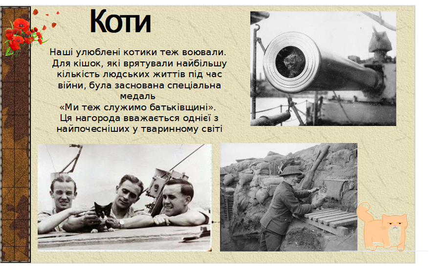 0300s1um-8017-904x553.png