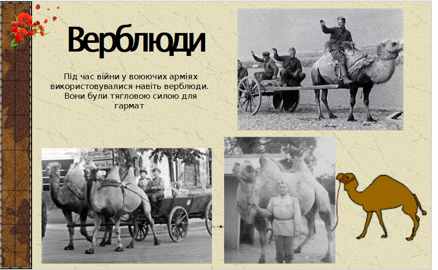 0300s1w5-c9c1-901x555.png