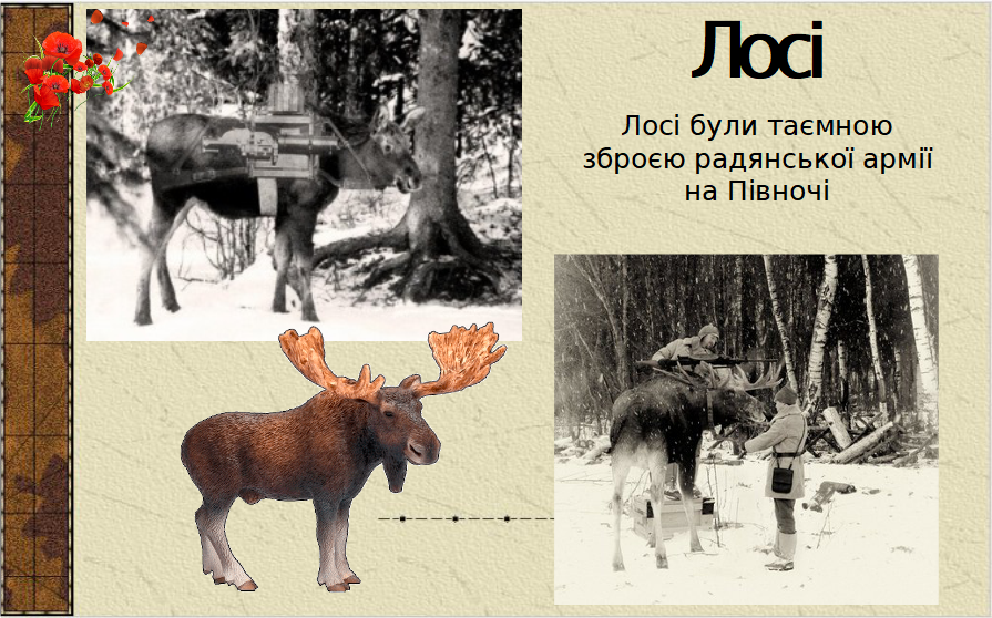 0300s1wj-f468-895x558.png