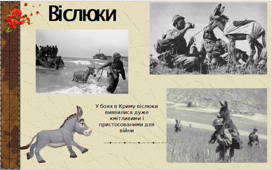 0300s1wl-50dd-894x559.png