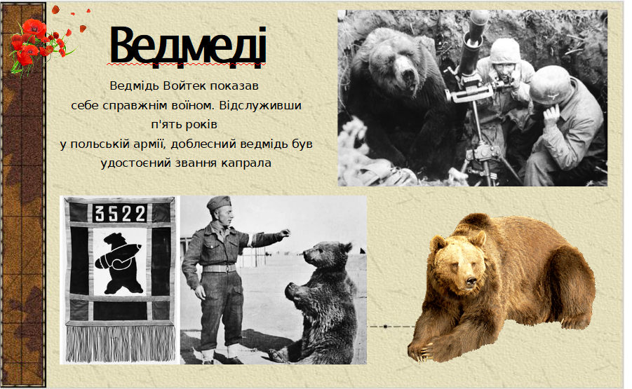 0300s1wr-56c0-901x555.png