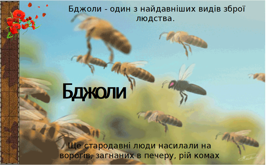 0300s1wv-8e17-899x556.png