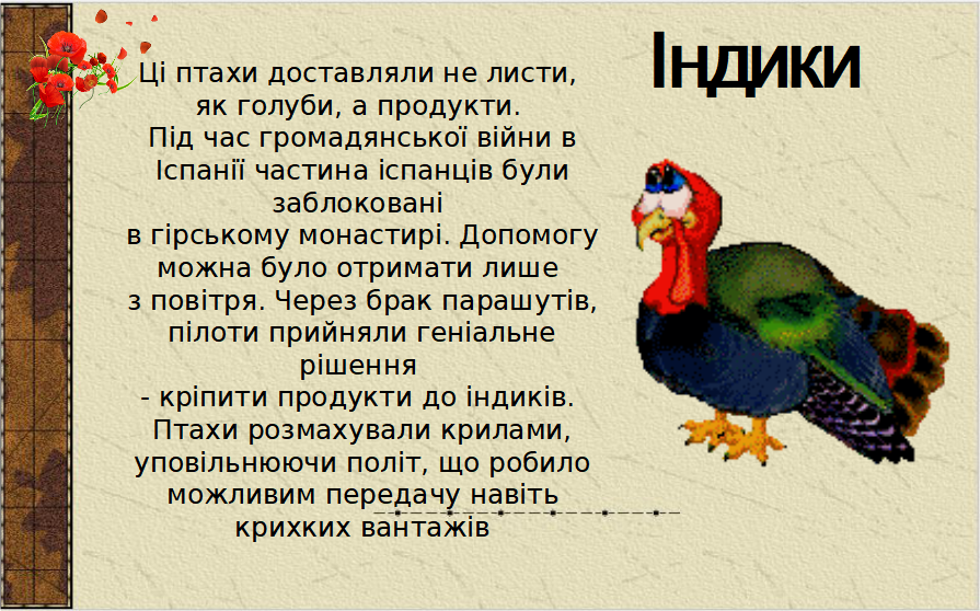 0300s1wz-69b7-895x558.png