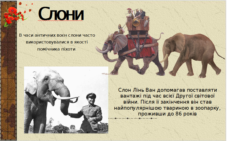 0300s1x2-b172-897x558.png