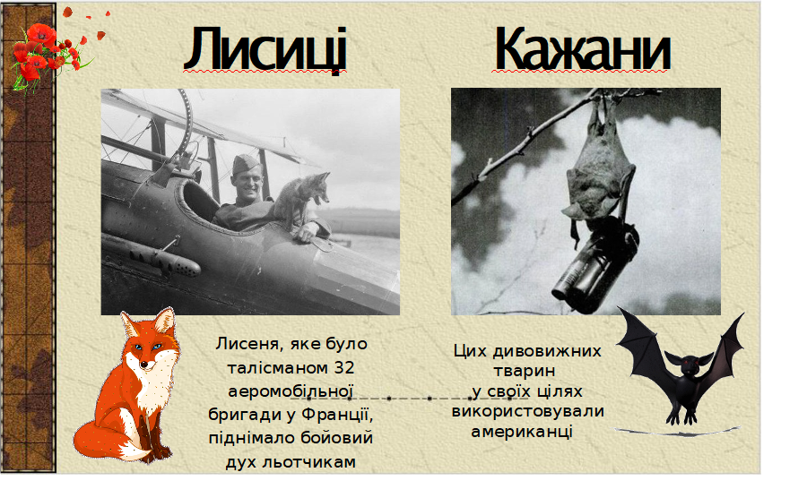 0300s1xn-dd8a-900x556.png